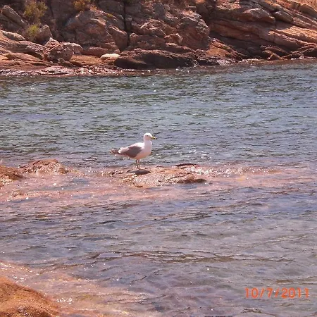 Marvelous Sea View Eco Daire Ammouliani