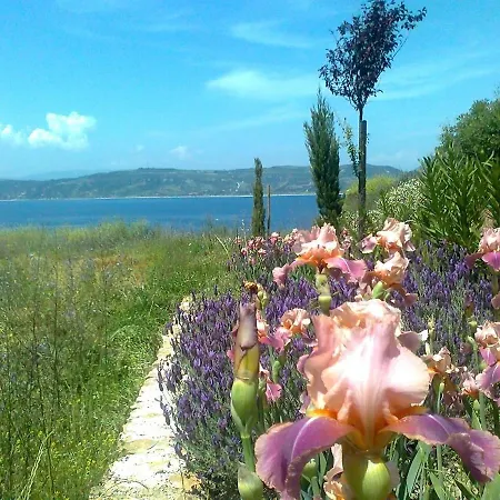 Apartmán Marvelous Sea View Eco