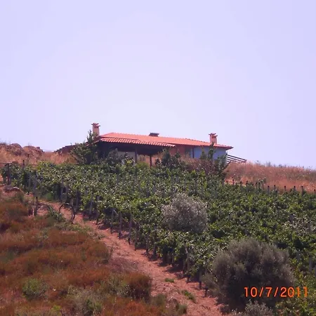 דירה Marvelous Sea View Eco אמוליאני