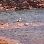 Marvelous Sea View Eco Διαμέρισμα Αμμουλιανή
