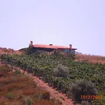 Διαμέρισμα Marvelous Sea View Eco Αμμουλιανή