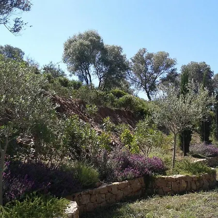 Marvelous Sea View Eco דירה