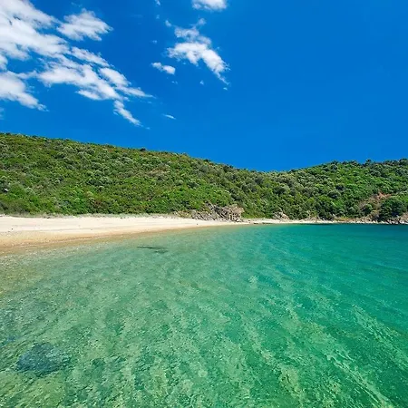公寓 Marvelous Sea View Eco 阿莫利亚尼岛